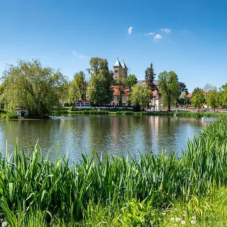 Am Kurpark Apartment